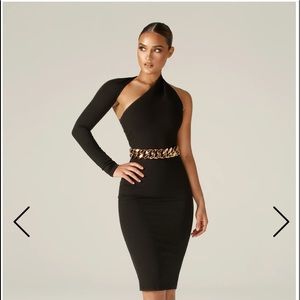 NWT Dasha Modern Dress by Alieva